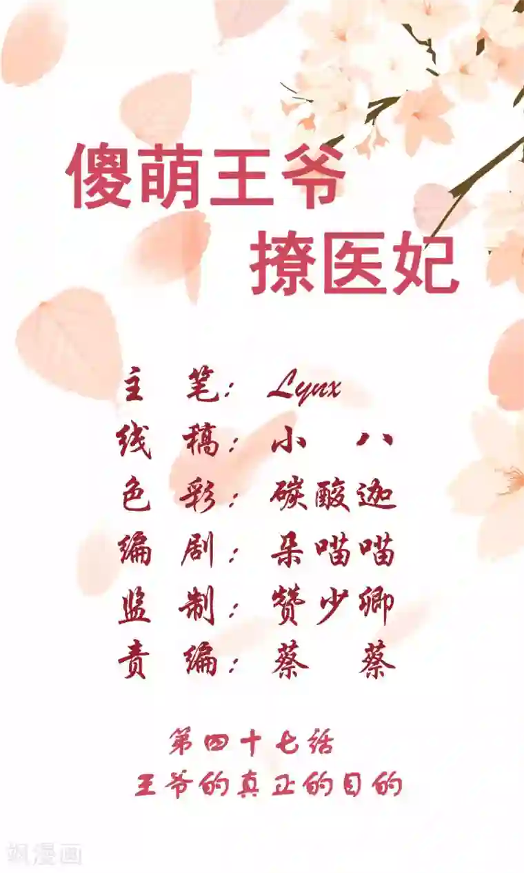 傻萌王爷撩医妃第47话 王爷的真正的目的