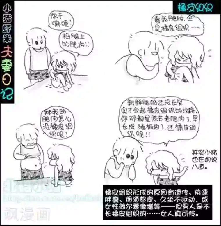 小猪虾米夫妻日记（第二季）第39话 橘皮组织