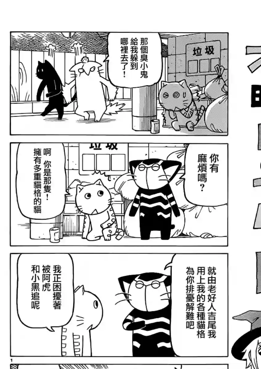 我家的街猫第273话