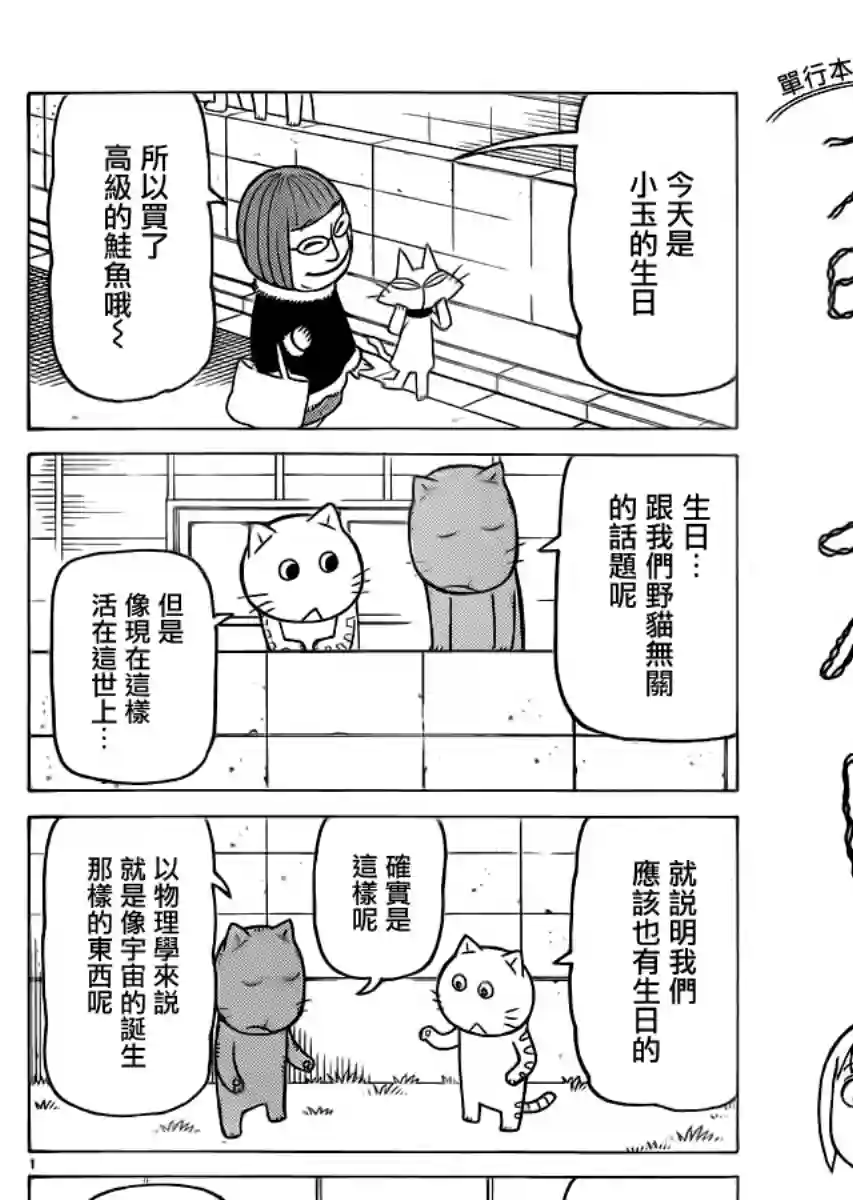 我家的街猫第295话