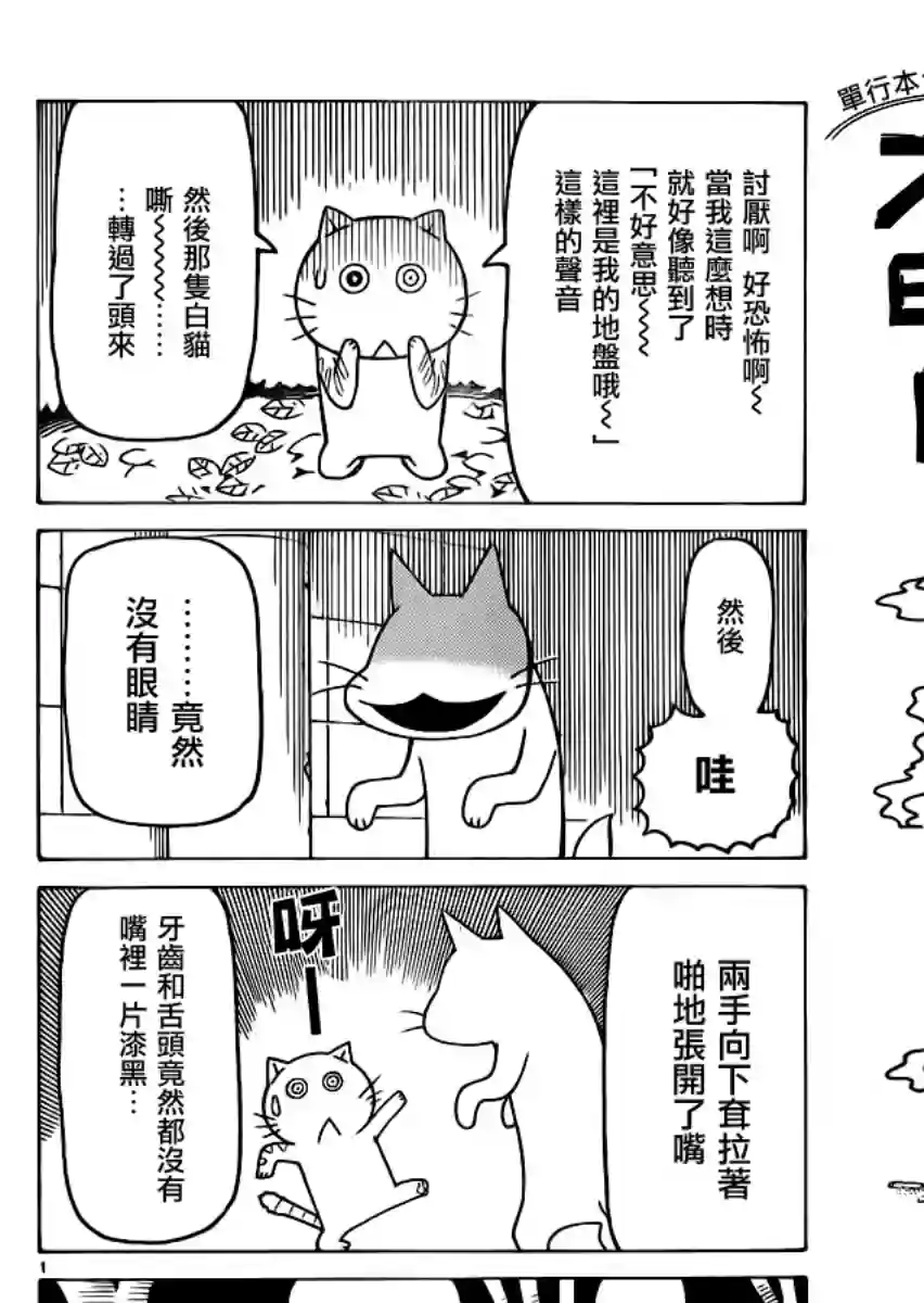 我家的街猫第299话