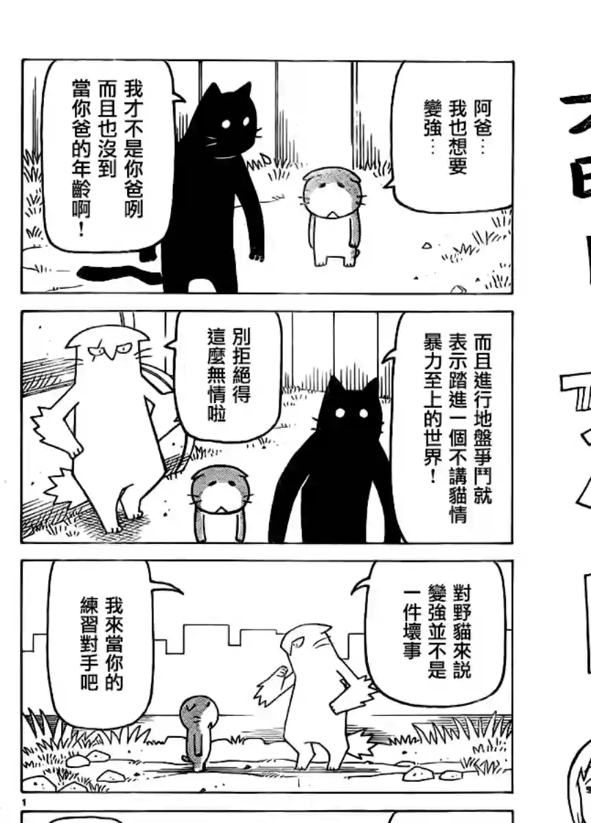 我家的街猫第342话