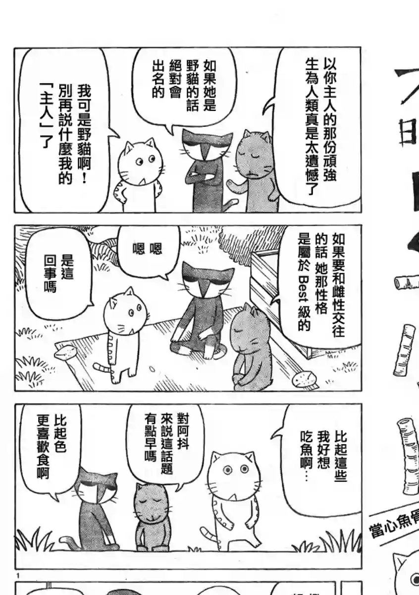 我家的街猫第348话