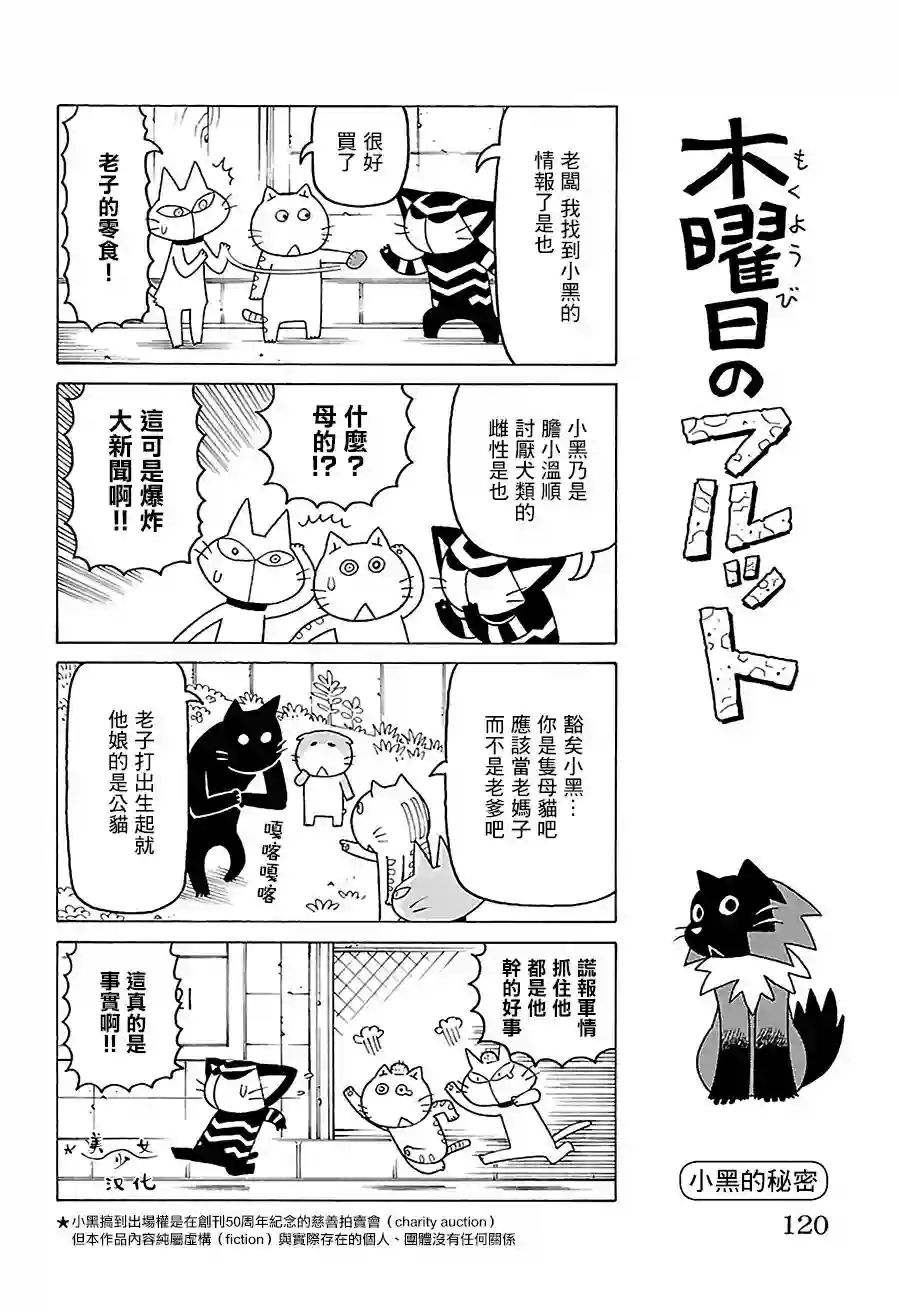 我家的街猫第523话