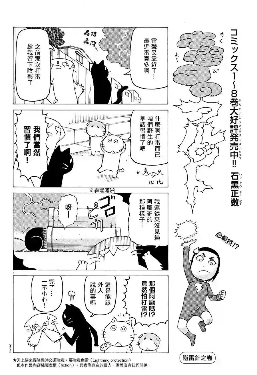 我家的街猫第576话