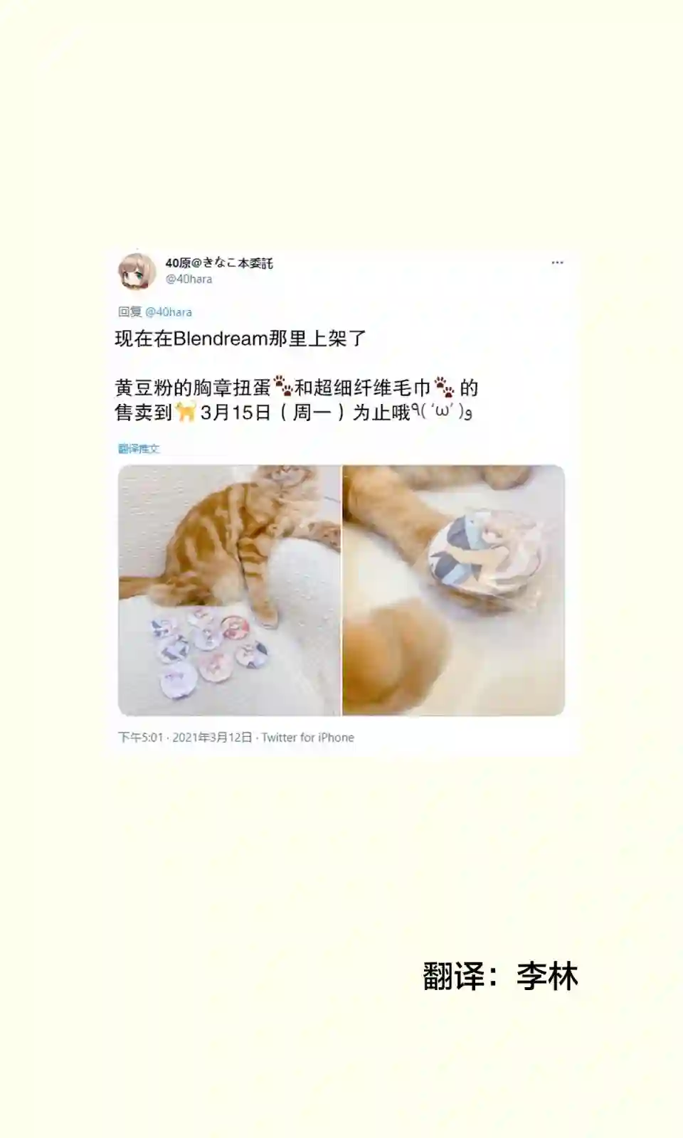 我家的猫猫是可爱的女孩子！杂图12