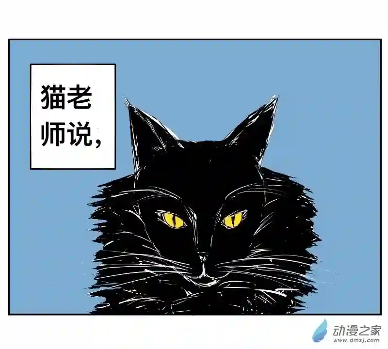 褚绪的一天06 猫老师不是猫呀