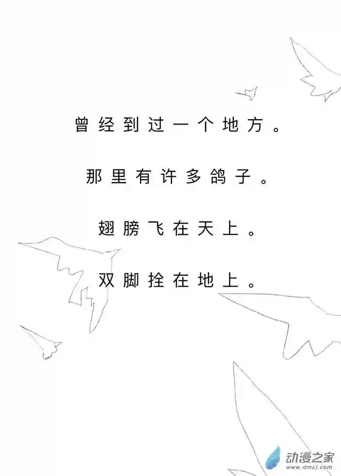 白鸽全一话