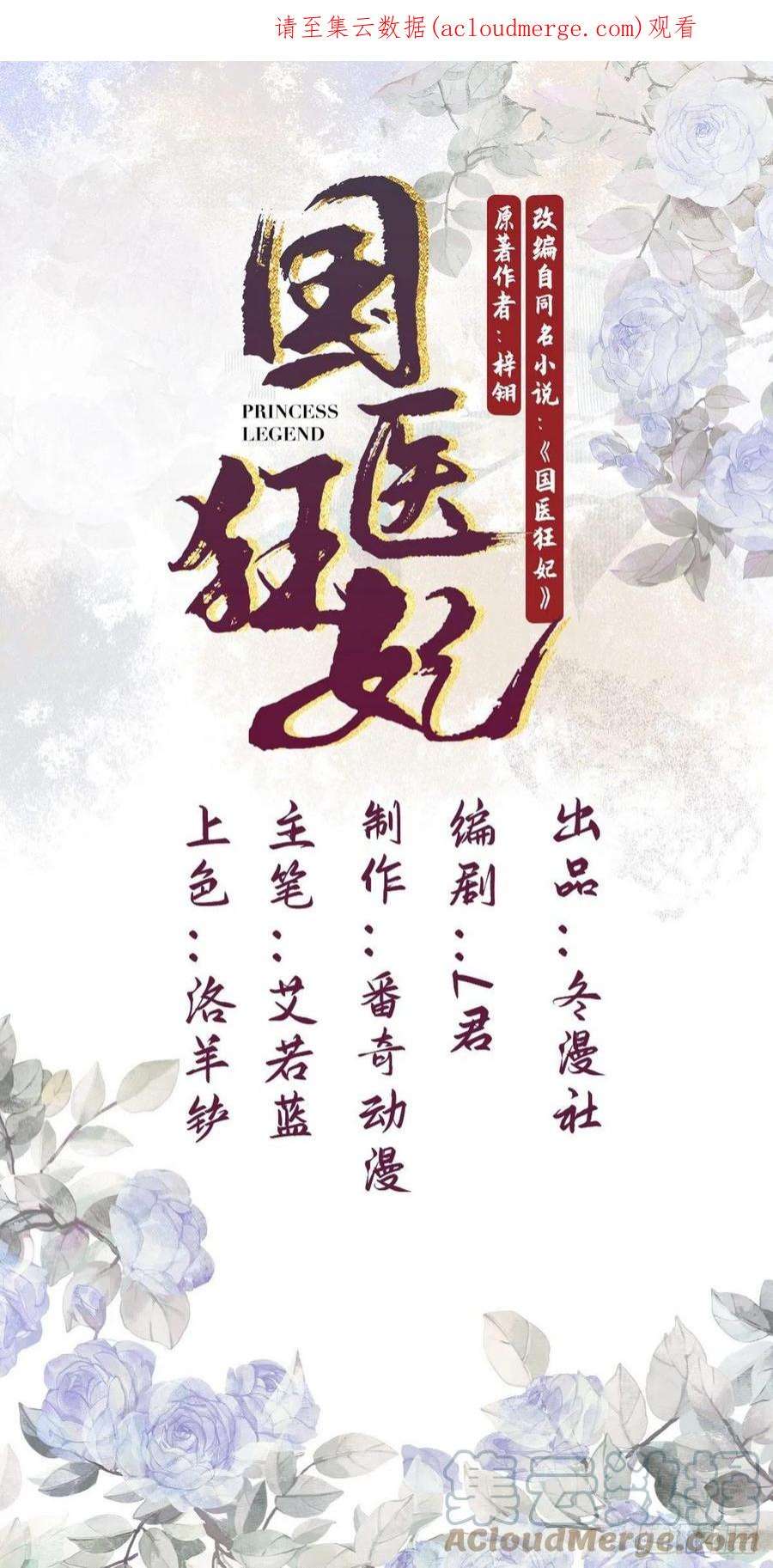 国医狂妃1话 “傻子”王妃