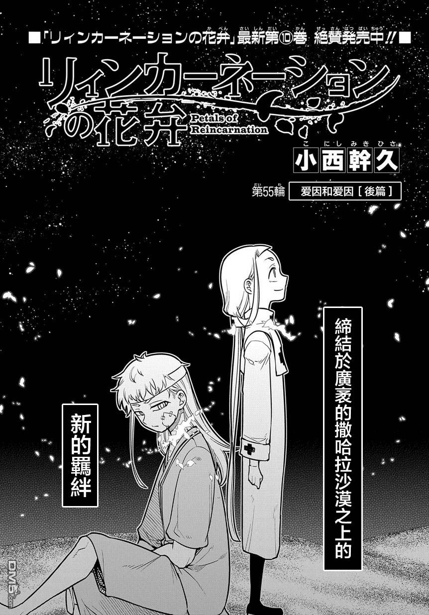 轮回的花瓣第64话 爱因和爱因（后篇）