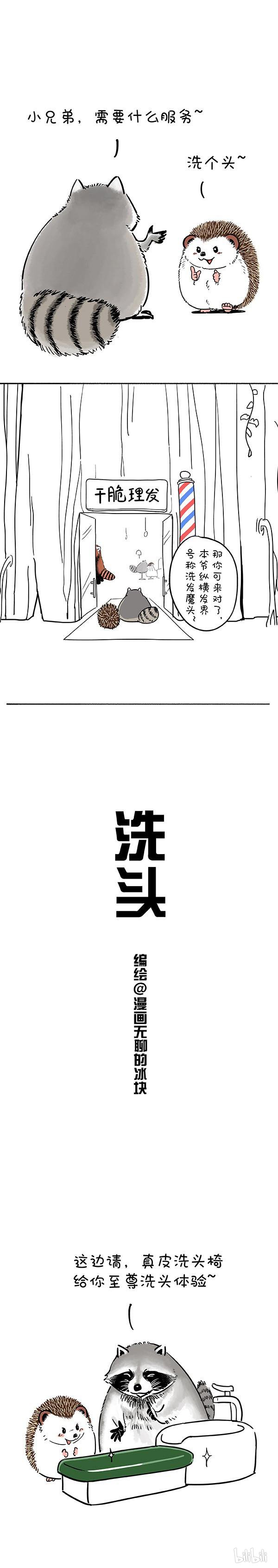 快把动物放进冰箱185 洗迎国庆，从头做起