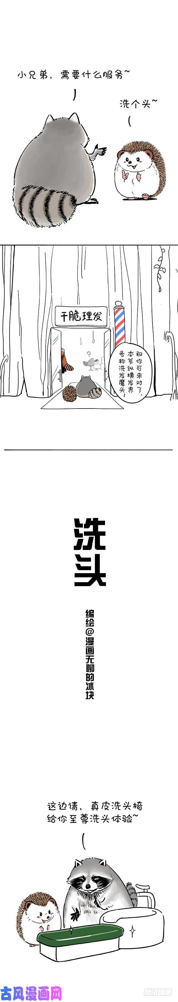 快把动物放进冰箱185洗迎国庆，从头做起