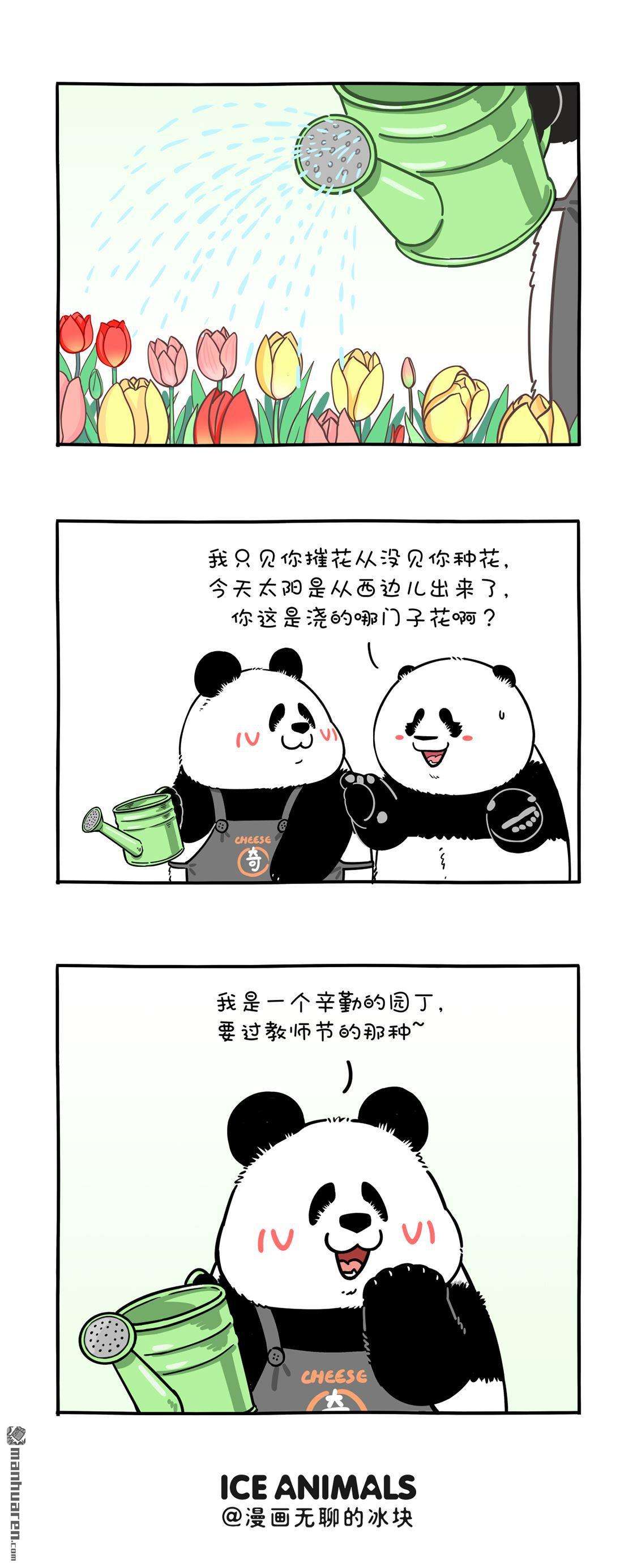 快把动物放进冰箱第292话 教师节