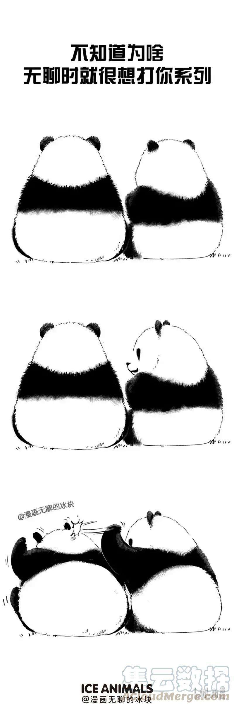 快把动物放进冰箱008 豆特（打头）