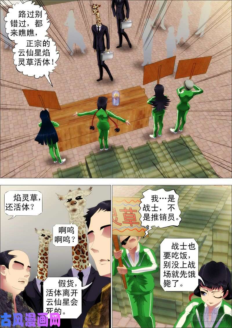 铁姬钢兵掉毛金乌不如鸡