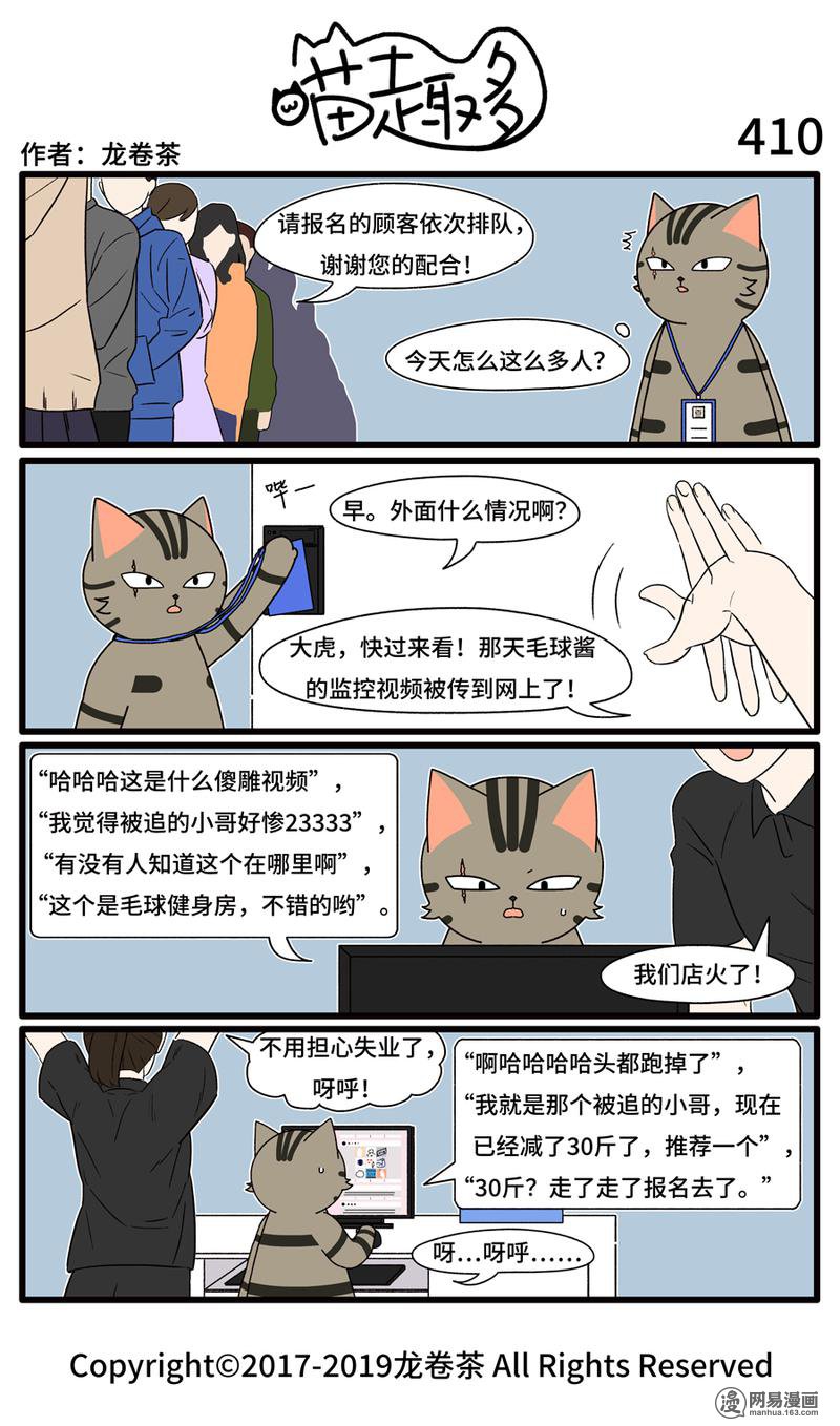 喵趣多410 无心插柳柳成荫