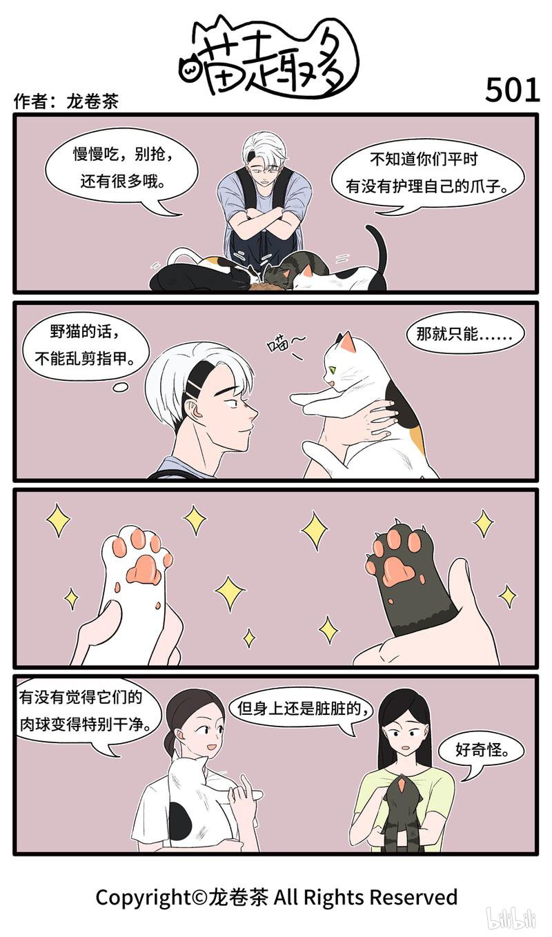 喵趣多501 野猫也要认真护理猫爪