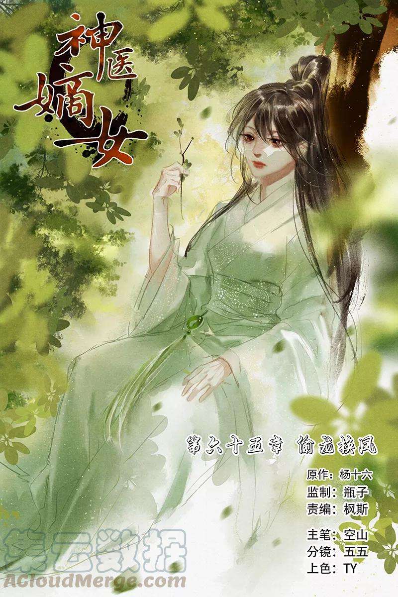 神医嫡女65话 偷龙换凤