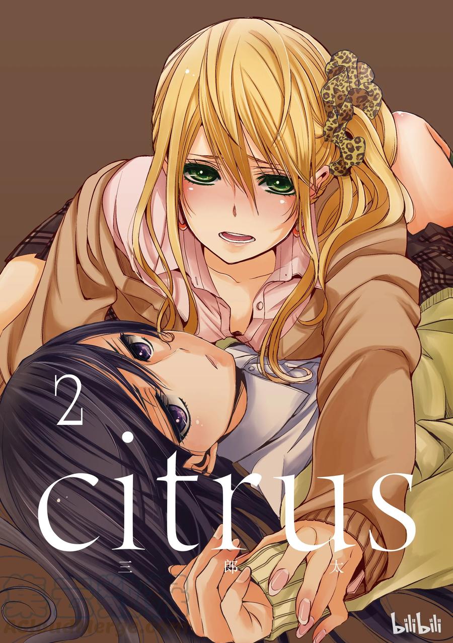 citrus 柑橘味香气05