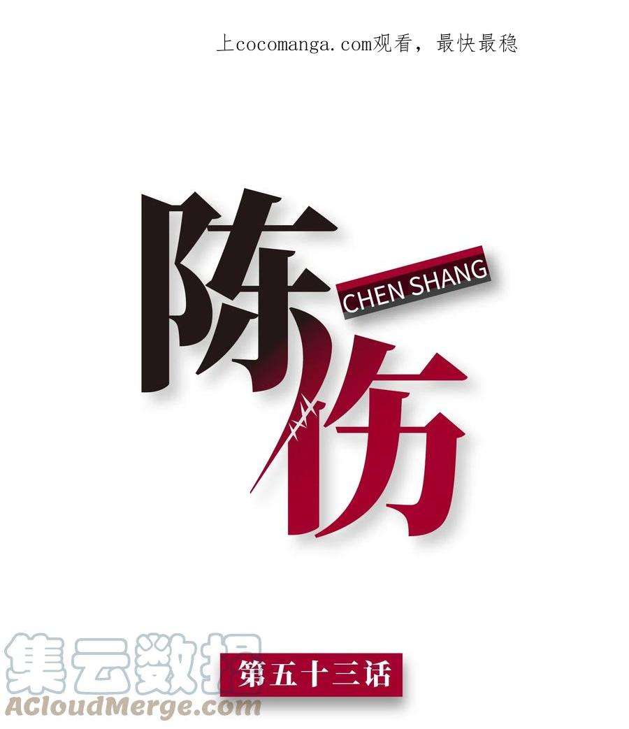 陈伤Chap.53 你不会拥有自己的孩子