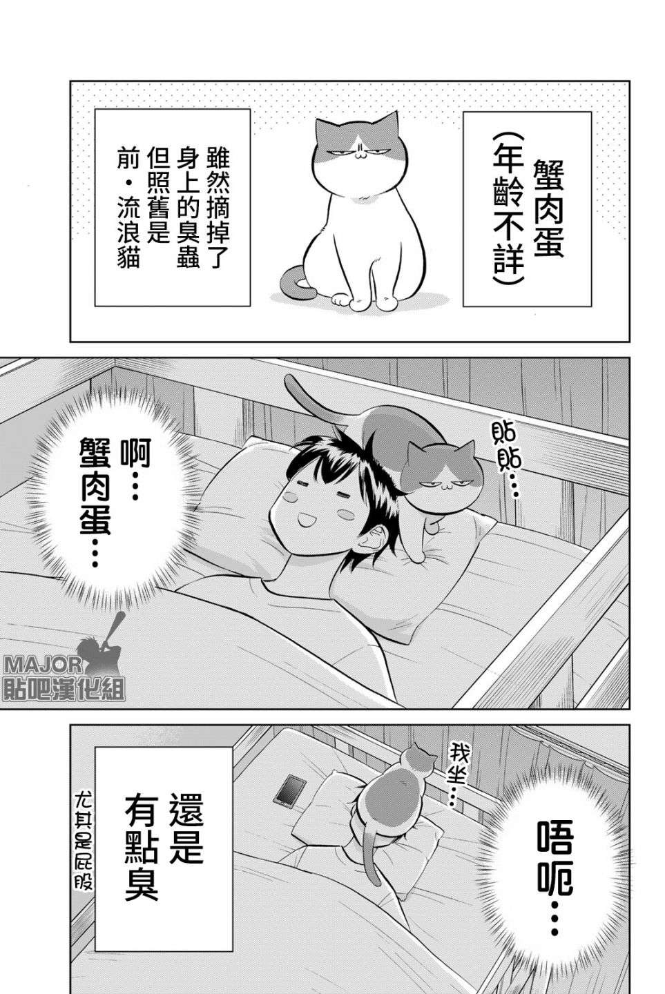 钻石猫猫!!青道高中棒球部猫日志第06话