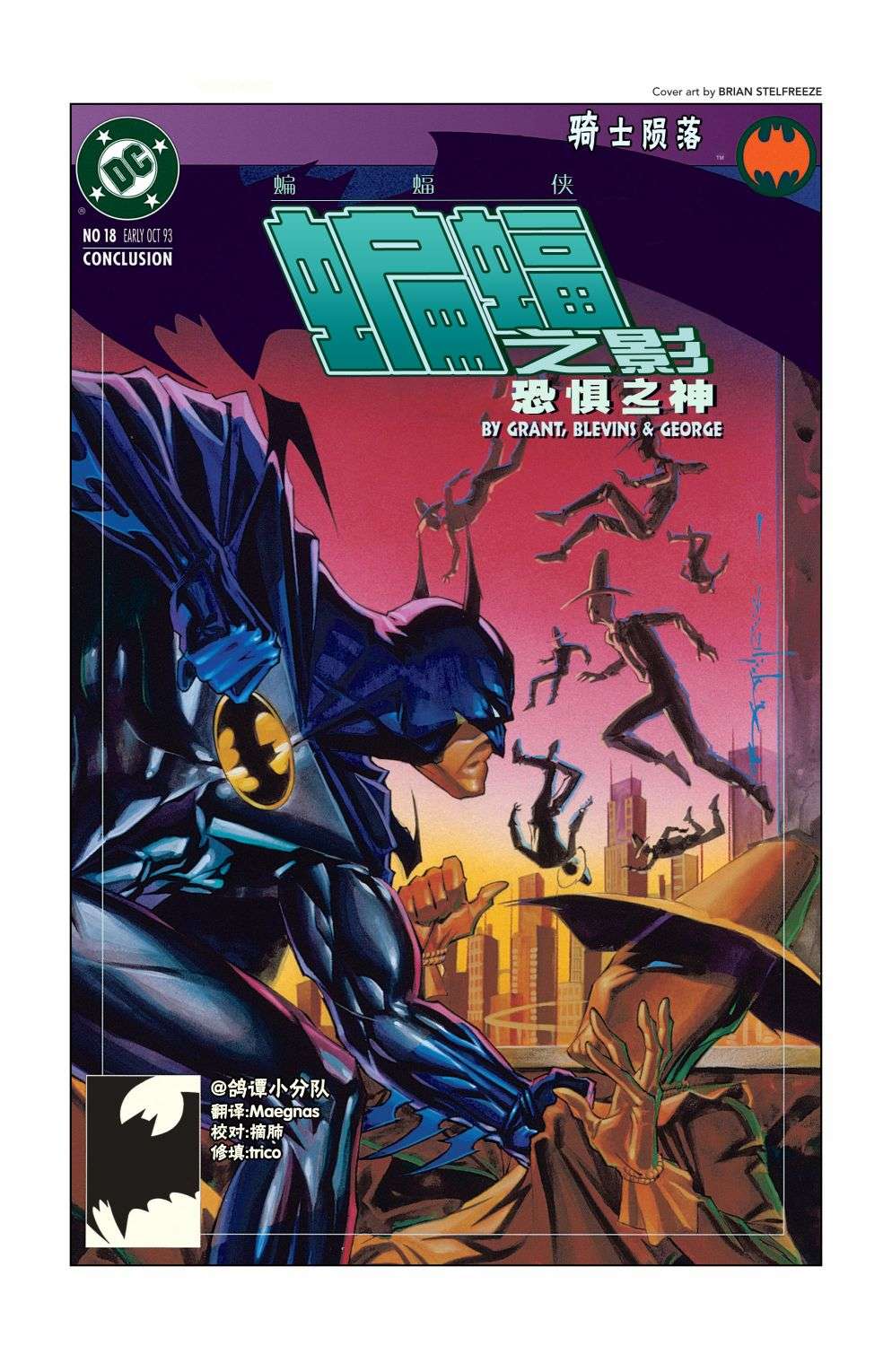 蝙蝠侠：骑士陨落020-蝙蝠之影#18