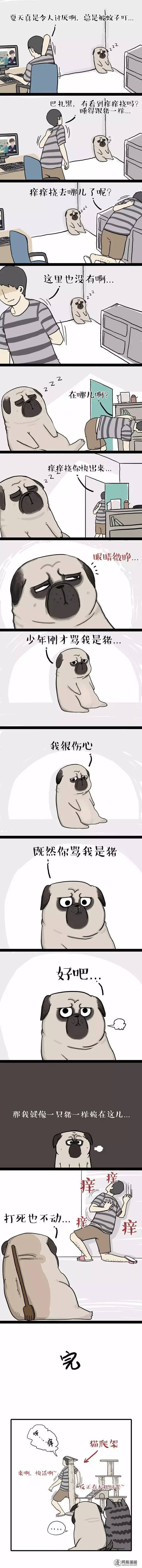 吾皇巴扎黑25 25