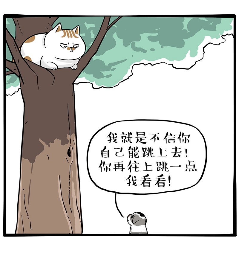 吾皇巴扎黑254 进击的流浪猫！