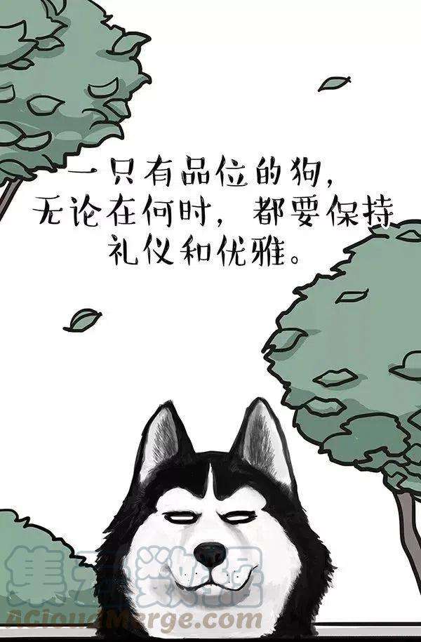 吾皇巴扎黑92 劲往一处使