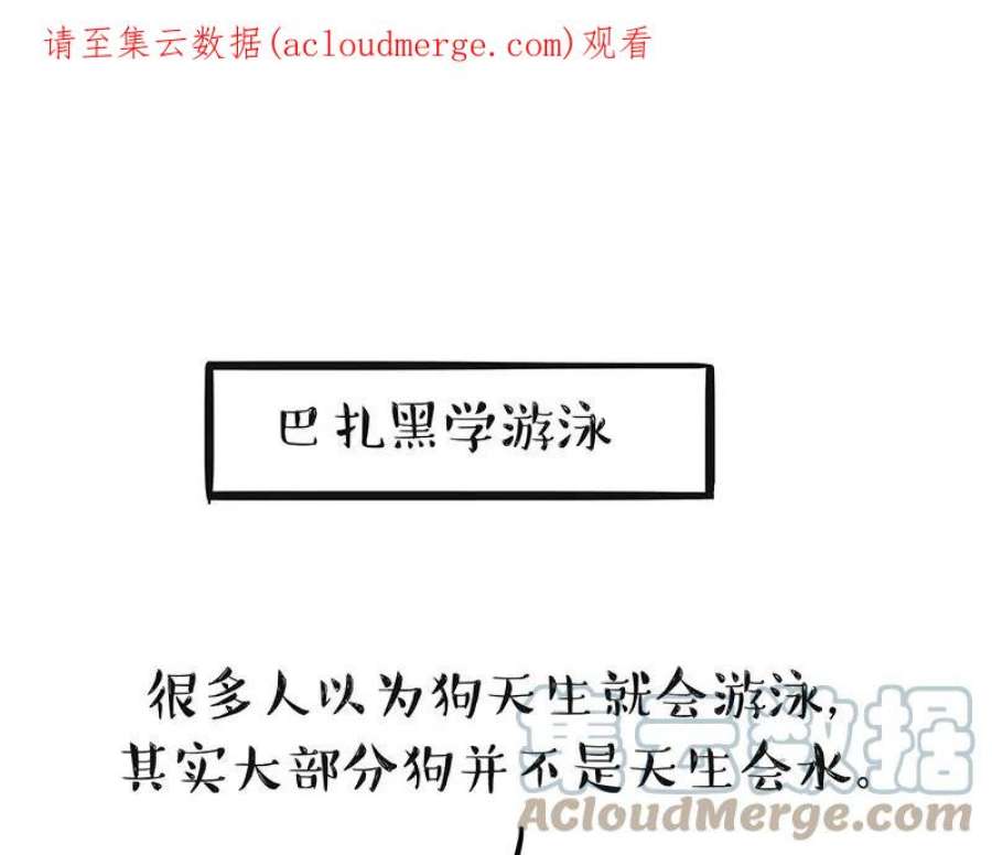 吾皇巴扎黑294话 教狗游泳难度爆棚