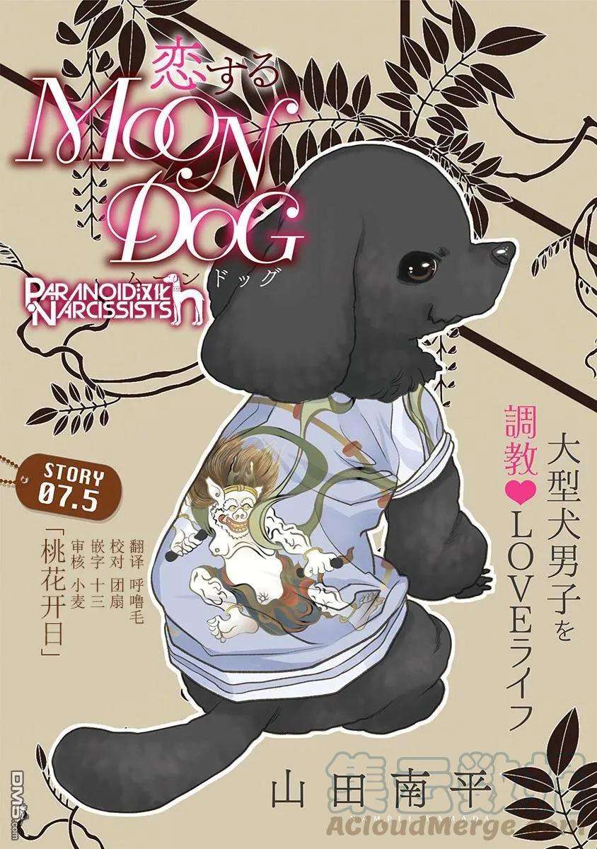 恋上月犬男子7.5话